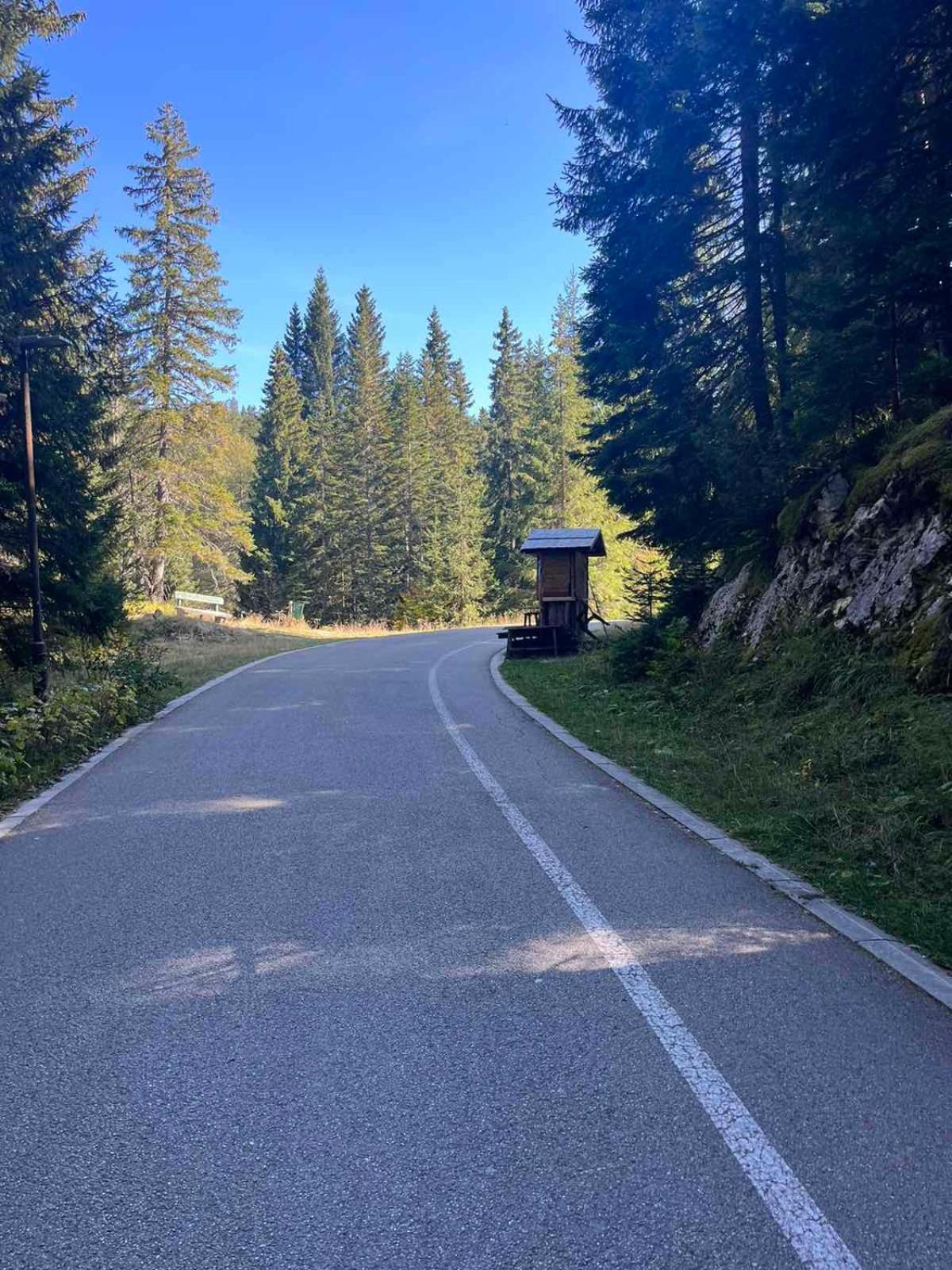 Mountain House Vojinovic Planinska Kuca Vojinovic * Жабляк